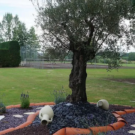 Hotel Aliotel